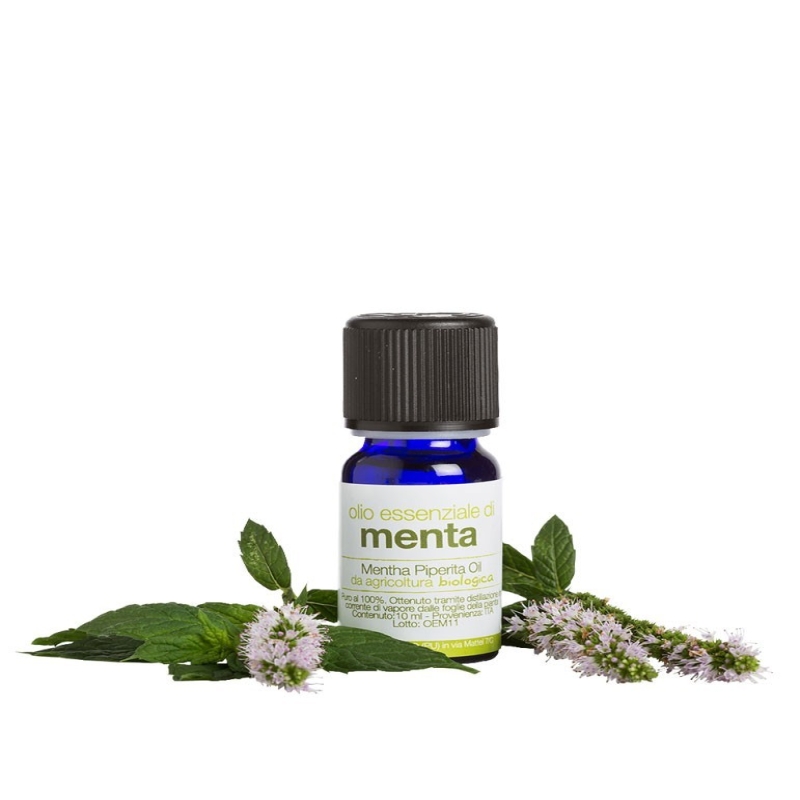 Olio essenziale di menta BIO