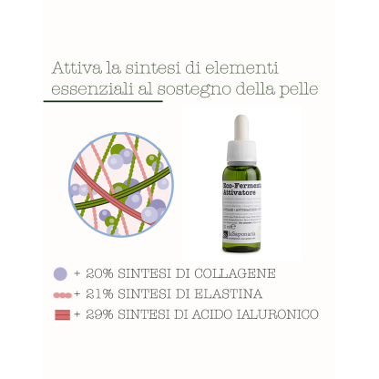 Ecofermentato Attivatore