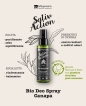 Deodorante bio con salvia, prebiotici di cicoria ed eucalipto