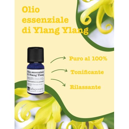 Olio essenziale di Ylang Ylang