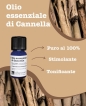 Olio essenziale di cannella