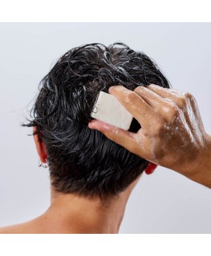 Shampoo solido purificante