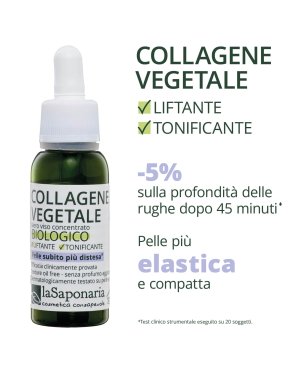 Collagene Vegetale