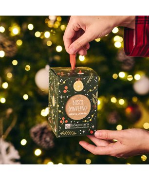 Lanterna Bosco d'inverno