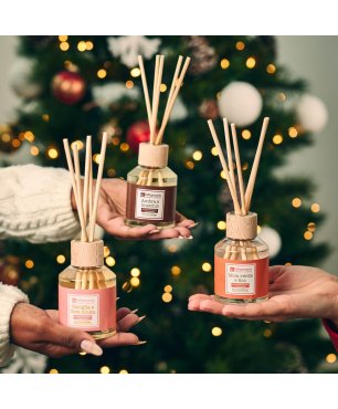 Eco profumatore a bastoncini - Mela verde e Fico