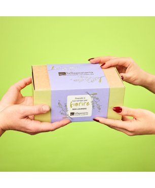Cofanetto regalo Lavanda