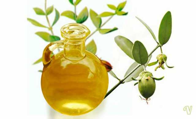 Jojoba