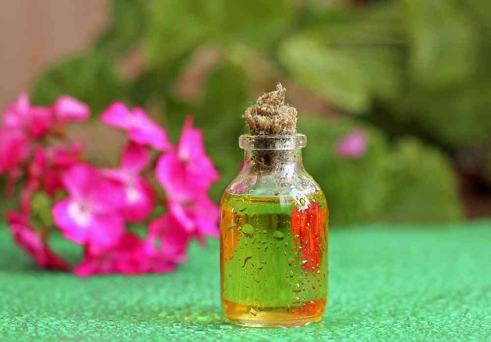 Pelargonium Graveolens Stem Leaf Oil*
